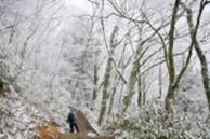 bankouのブログ-霧氷