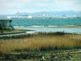 bankou�̃u���O-�Ί݂̊֐���`