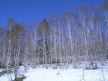 bankou�̃u���O-������